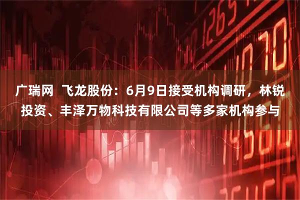 广瑞网  飞龙股份：6月9日接受机构调研，林锐投资、丰泽万物科技有限公司等多家机构参与