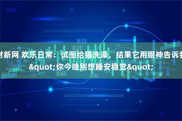 财新网 欢乐日常：试图给猫洗澡，结果它用眼神告诉我"你今晚别想睡安稳觉"